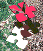 Compatibilit�