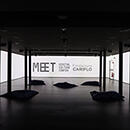MEET: Some Thoughts on a Virtual Relatity Experience
