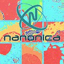 Nanonica Prize: Reinforced hydrogels for cartilage tissue repair