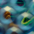 photo by hyperscholar from Flickr