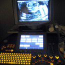 cc - photo by Telstar Logistics from Flickr