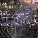 cc - photo by Shiny Things from Flickr