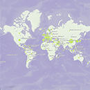 In Response to 'On policy choices by european countries during the 2020 Covid-19 outbreak.