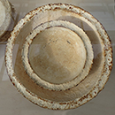 Fungal Futures, a Review of the Exhibition