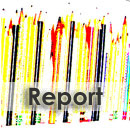 Report - La società delle reti: imprese, innovazione e responsabilità