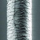 hairwire