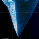nanotech-perception_130.jpg