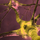 Media, Innovation, and Bioethics 