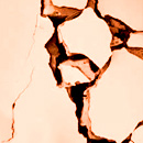 crepa-130.jpg