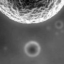 Okairos, una storia di successo del biotech italiano