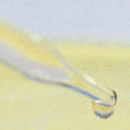 biotecnologie