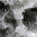 cc - by Macroscopic Solutions from flickr