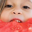 European Food Safety Authority