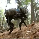 Big Dog un mulo-robot