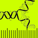 Panoramica: i test genetici