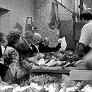 cc - foto di Paolo Piscolla da Flickr
