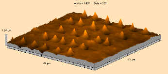 synthetic-spatulae - Immagine tratta da robotics.eecs.berkeley.edu/~ronf/GECKO/gecko.html