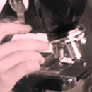biologia