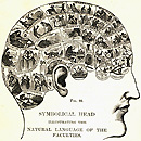 Simbolical head