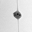 nano-fibre