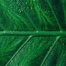 Working Towards Sustainable Science Practices: The Second Sustainable Research Symposium