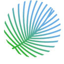 Wageningen University (NL) Post-doc Position