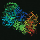 biomolecole