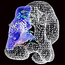 cc - photo by Lawrence Berkeley National Laboratory from flickr