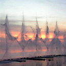 cc - by Tunisia Photos from Flickr
