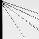 cc - photo by bupowski from Flickr