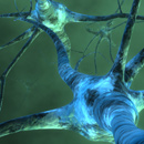 L'etica del nuovo. Nanotecnologie, neuroscienze e roboetica