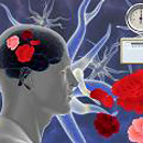  Awareness, Perception And Interpretation