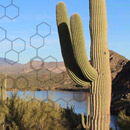 Winter School on the Anticipatory Governance of Emerging Technologies